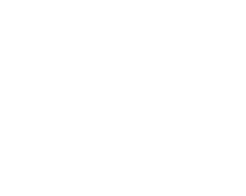 MT Consulting<br />
Real Estate 